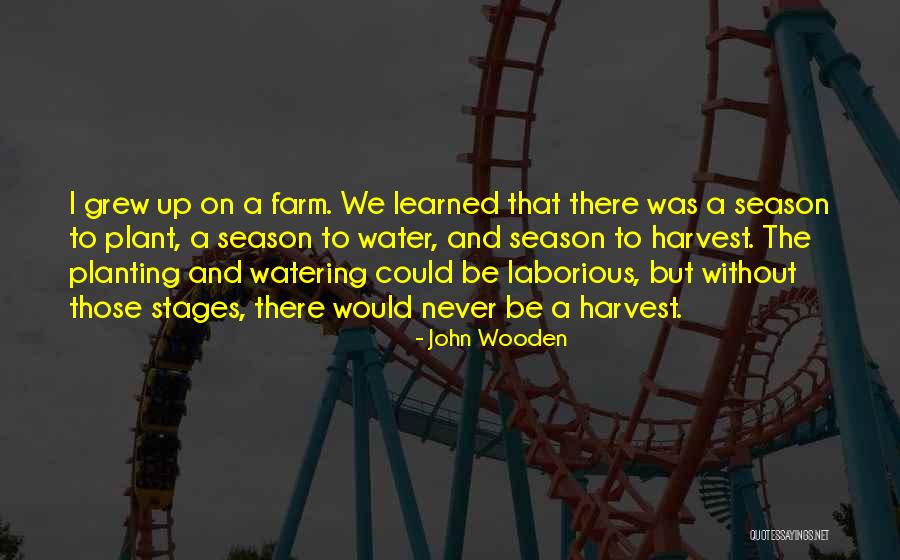 Watering The Plant Quotes By John Wooden Watering The Plant Quotes By John Wooden
