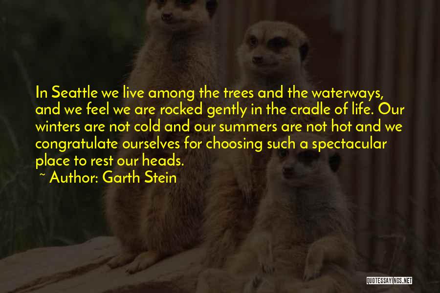 Waterways Quotes By Garth Stein