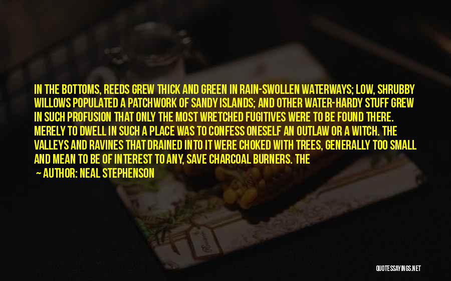 Waterways Quotes By Neal Stephenson