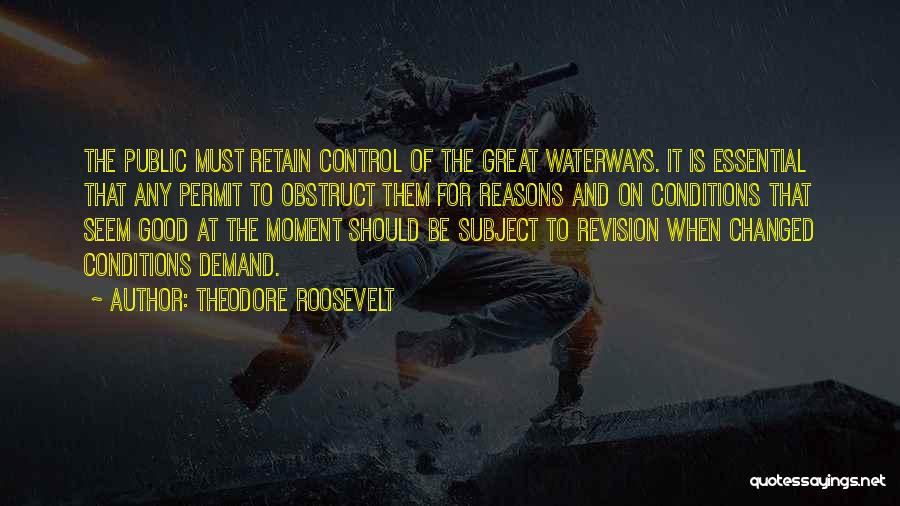 Waterways Quotes By Theodore Roosevelt