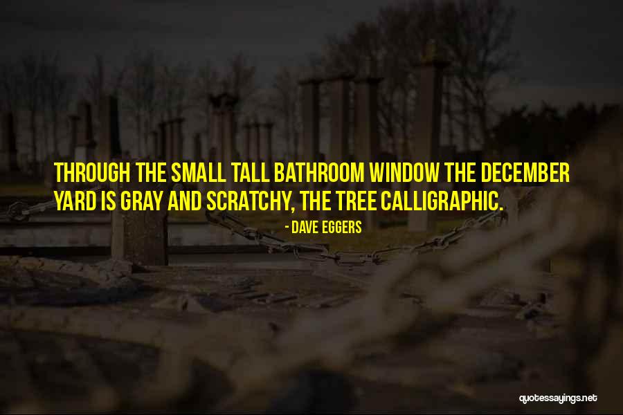 Waterworks Newport Quotes By Dave Eggers Waterworks Newport Quotes By Dave Eggers