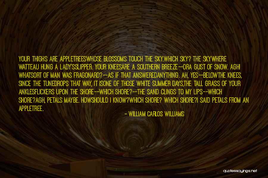 Watteau V Quotes By William Carlos Williams Watteau V Quotes By William Carlos Williams