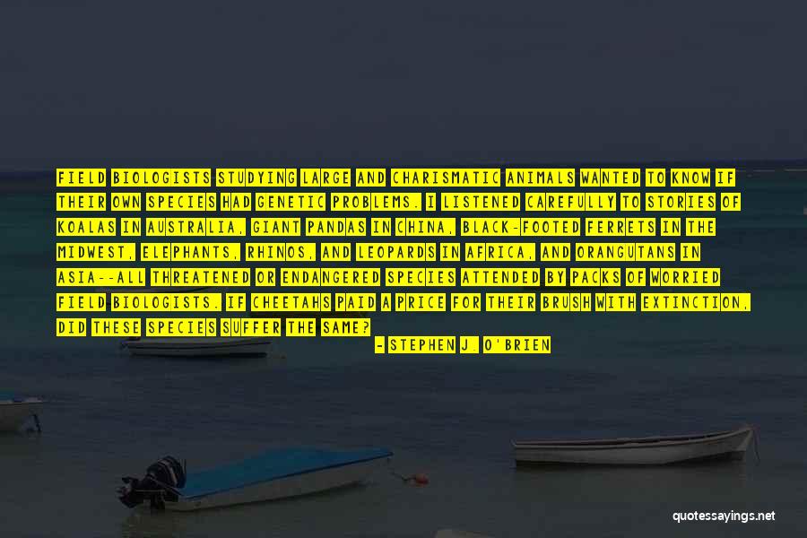 Watteyne Enterprises Quotes By Stephen J. O'Brien Watteyne Enterprises Quotes By Stephen J. O'Brien