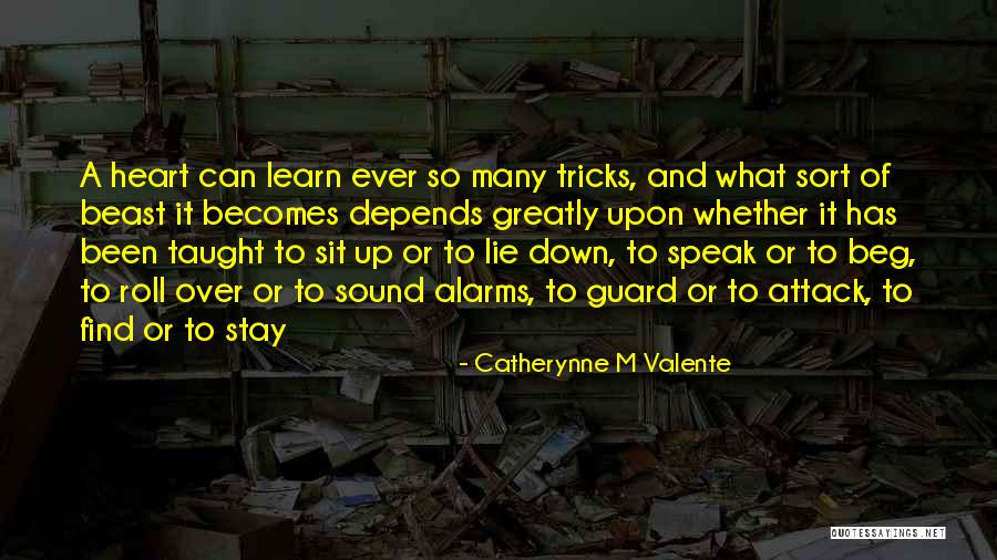 Wave Rings For Kids Quotes By Catherynne M Valente Wave Rings For Kids Quotes By Catherynne M Valente