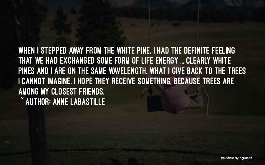 Wavelength Quotes By Anne LaBastille