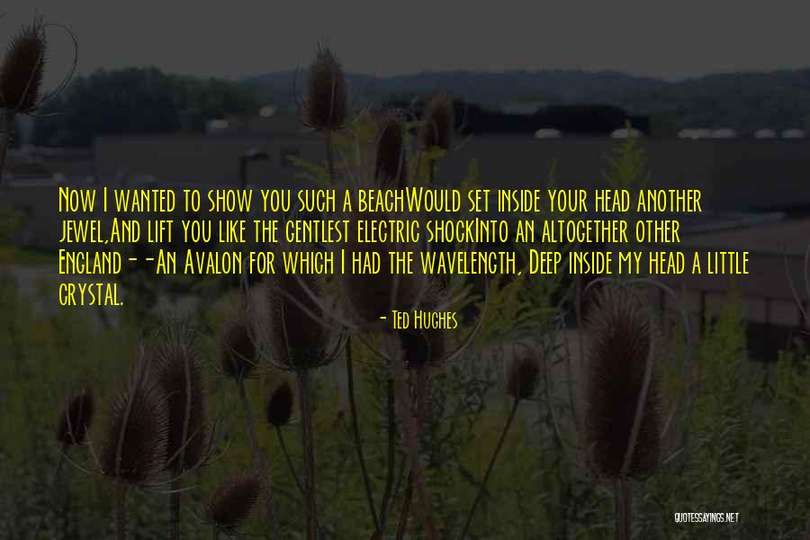 Wavelength Quotes By Ted Hughes Wavelength Quotes By Ted Hughes