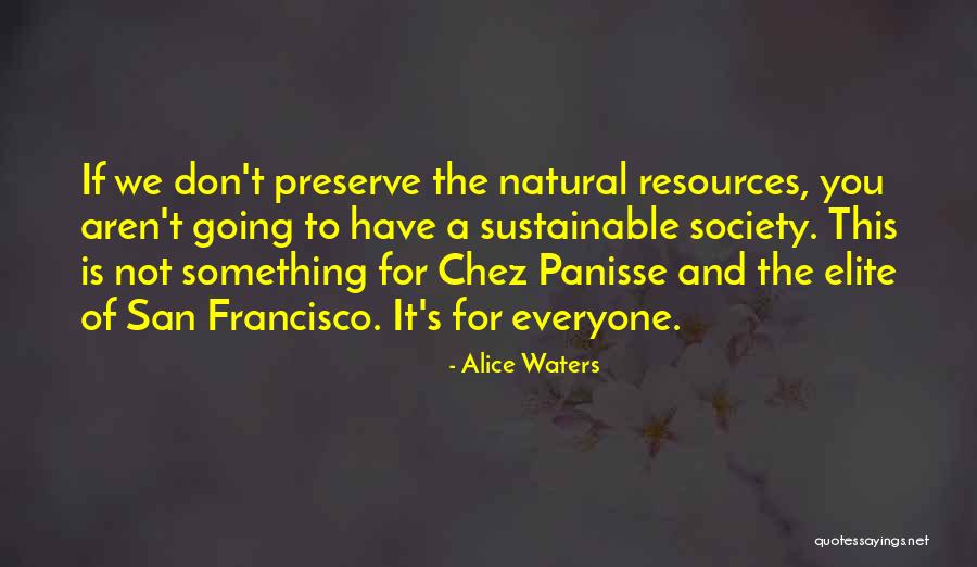 Waveless Pool Quotes By Alice Waters Waveless Pool Quotes By Alice Waters