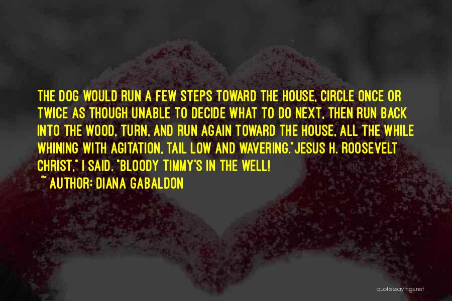 Wavering Quotes By Diana Gabaldon