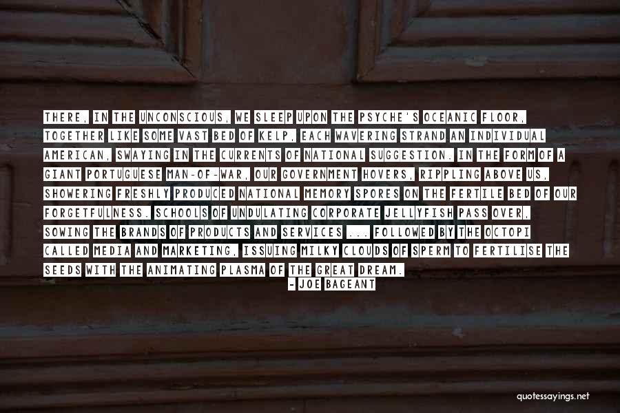 Wavering Quotes By Joe Bageant Wavering Quotes By Joe Bageant