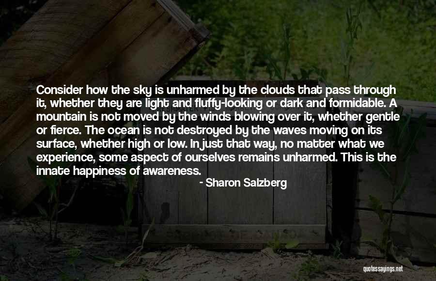 Waves And Ocean Quotes By Sharon Salzberg