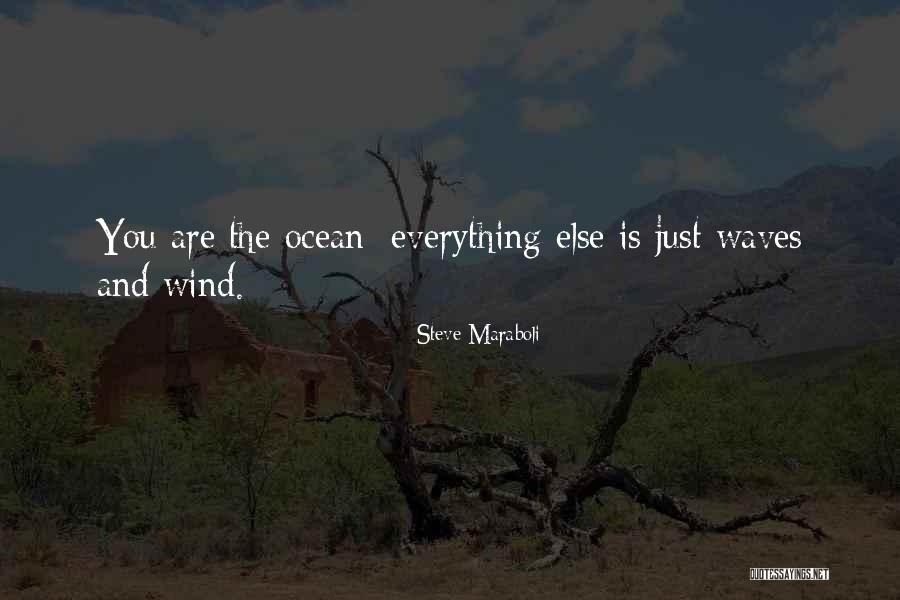 Waves And Ocean Quotes By Steve Maraboli