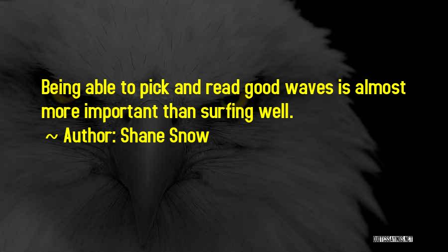 Waves And Surfing Quotes By Shane Snow