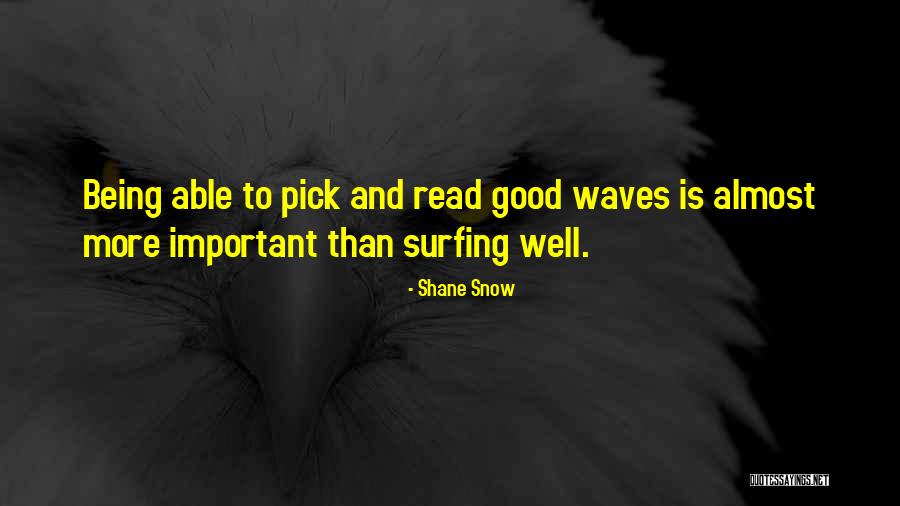 Waves And Surfing Quotes By Shane Snow Waves And Surfing Quotes By Shane Snow