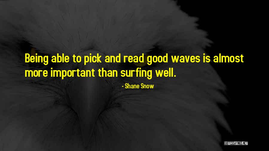 Waves And Surfing Quotes By Shane Snow