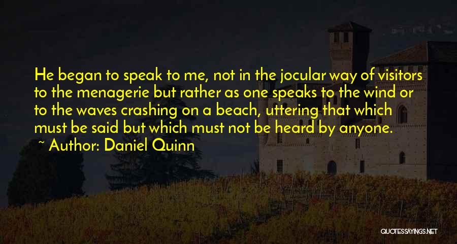 Waves Crashing Quotes By Daniel Quinn