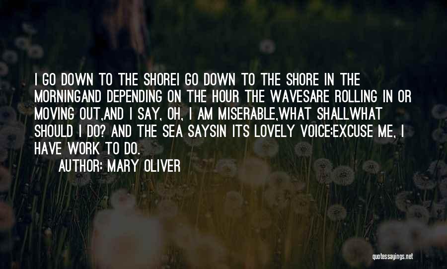 Waves On The Shore Quotes By Mary Oliver