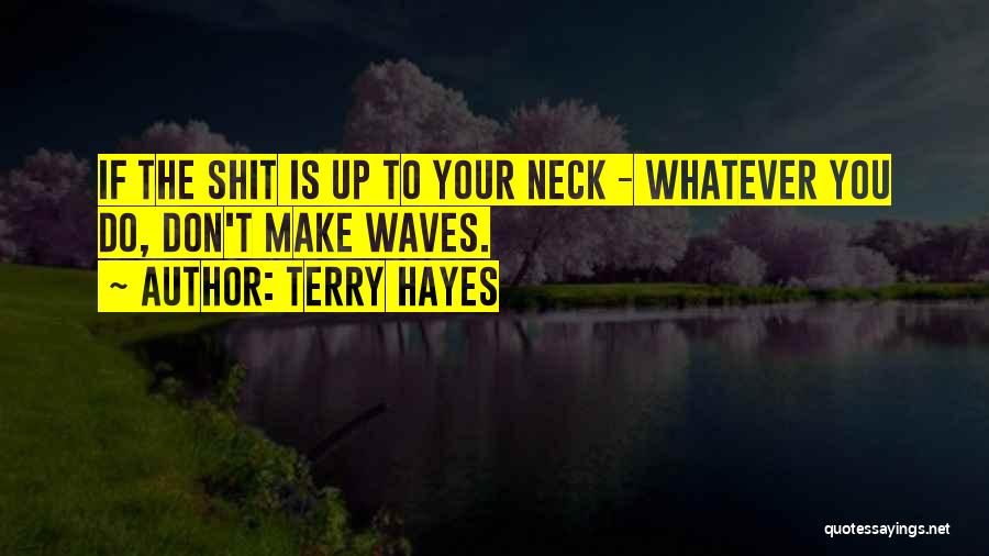 Waves Quotes By Terry Hayes