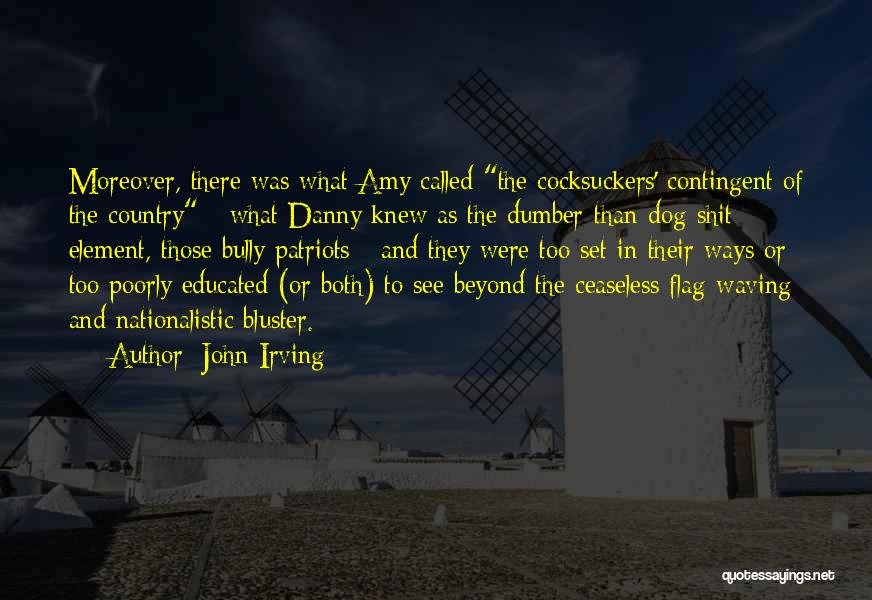 Waving Flag Quotes By John Irving