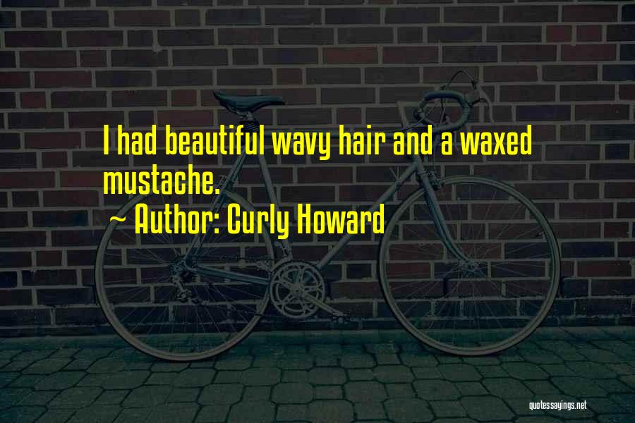 Wavy Hair Quotes By Curly Howard