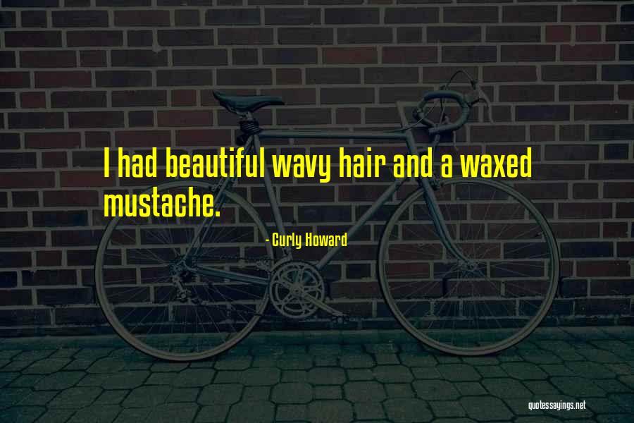 Wavy Quotes By Curly Howard Wavy Quotes By Curly Howard