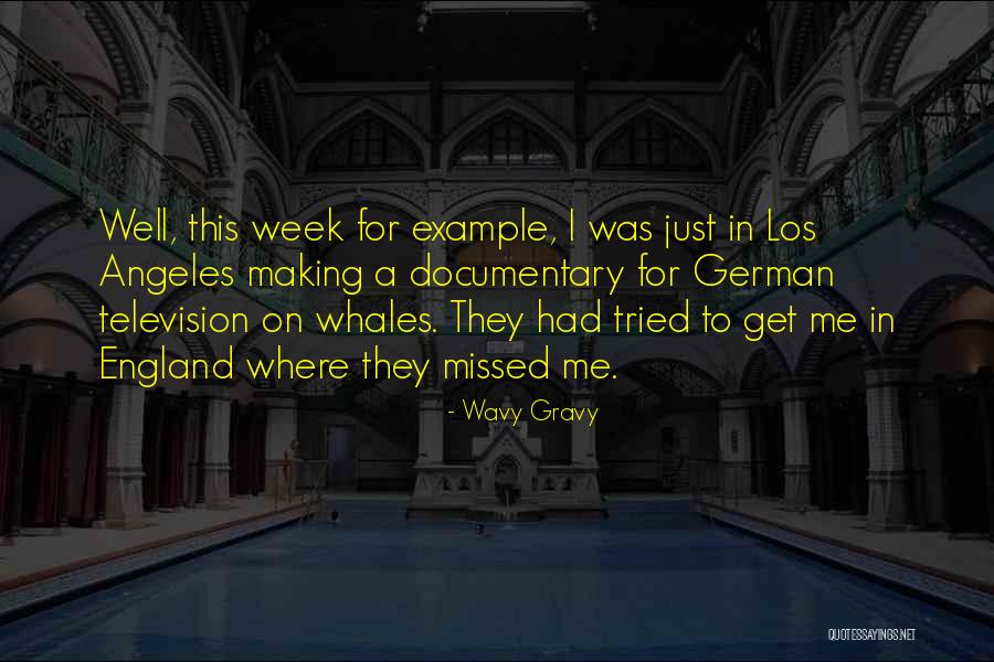 Wavy Quotes By Wavy Gravy Wavy Quotes By Wavy Gravy