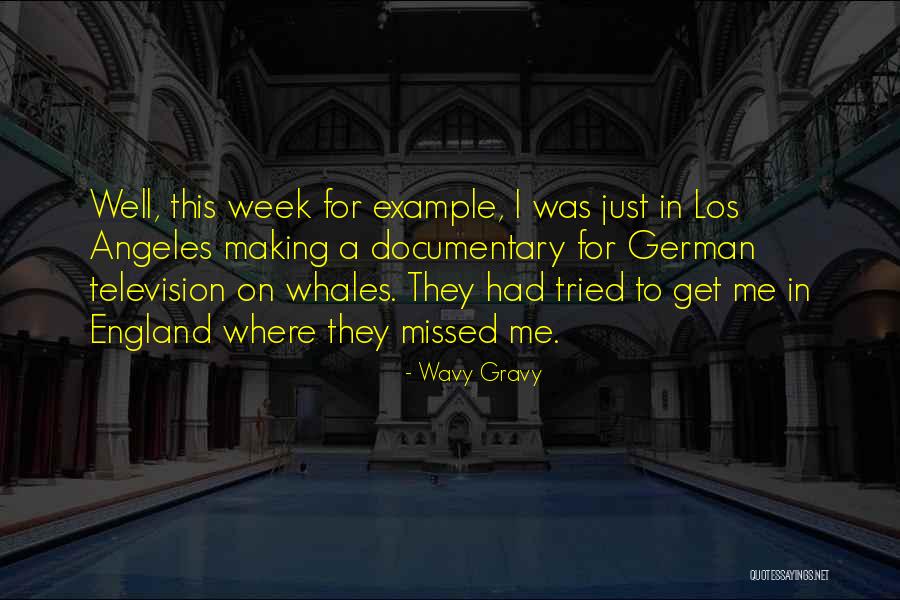 Wavy Quotes By Wavy Gravy