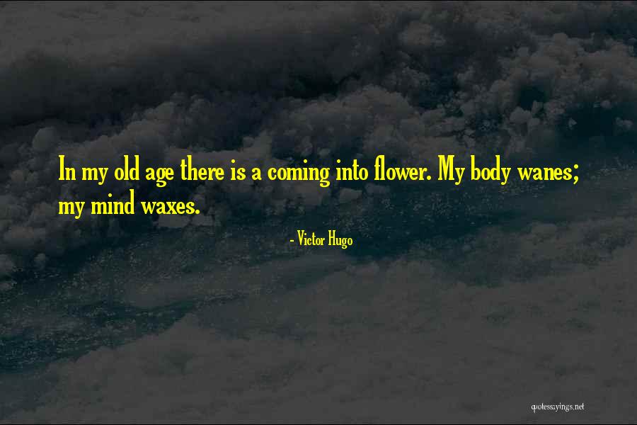 Waxes And Wanes Quotes By Victor Hugo Waxes And Wanes Quotes By Victor Hugo
