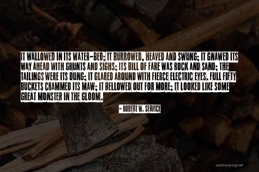 Way Ahead Quotes By Robert W. Service Way Ahead Quotes By Robert W. Service