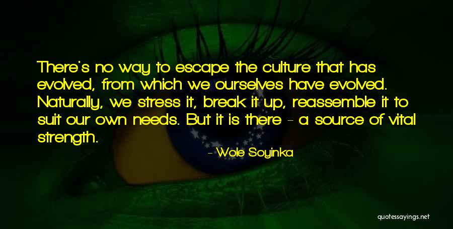 Way Has Quotes By Wole Soyinka Way Has Quotes By Wole Soyinka