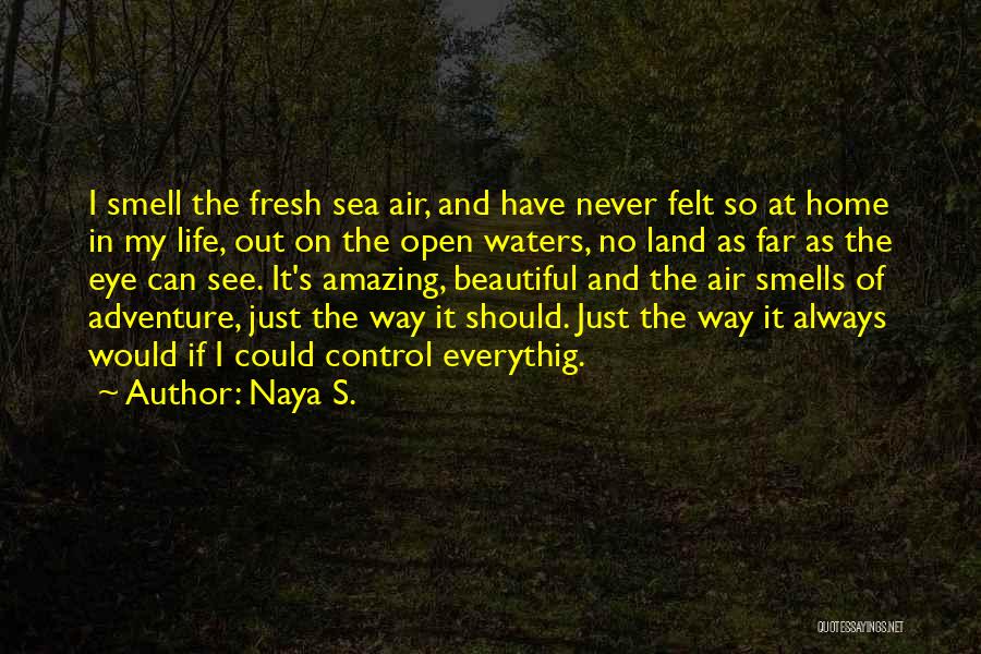 Way Home Quotes By Naya S.