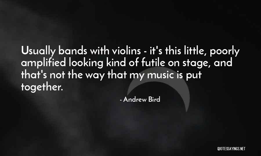 Way Of Looking Quotes By Andrew Bird