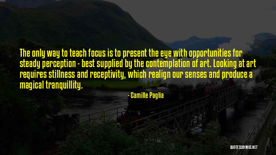 Way Of Looking Quotes By Camille Paglia