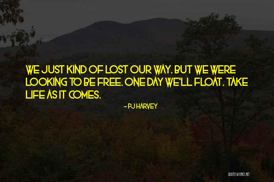 Way Of Looking Quotes By PJ Harvey Way Of Looking Quotes By PJ Harvey