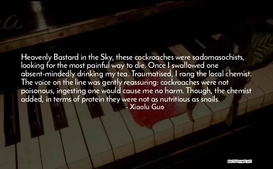 Way Of Looking Quotes By Xiaolu Guo Way Of Looking Quotes By Xiaolu Guo