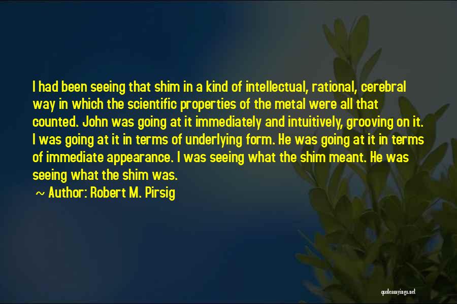 Way Of Seeing Quotes By Robert M. Pirsig