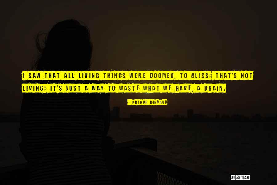 Way To Bliss Quotes By Arthur Rimbaud Way To Bliss Quotes By Arthur Rimbaud