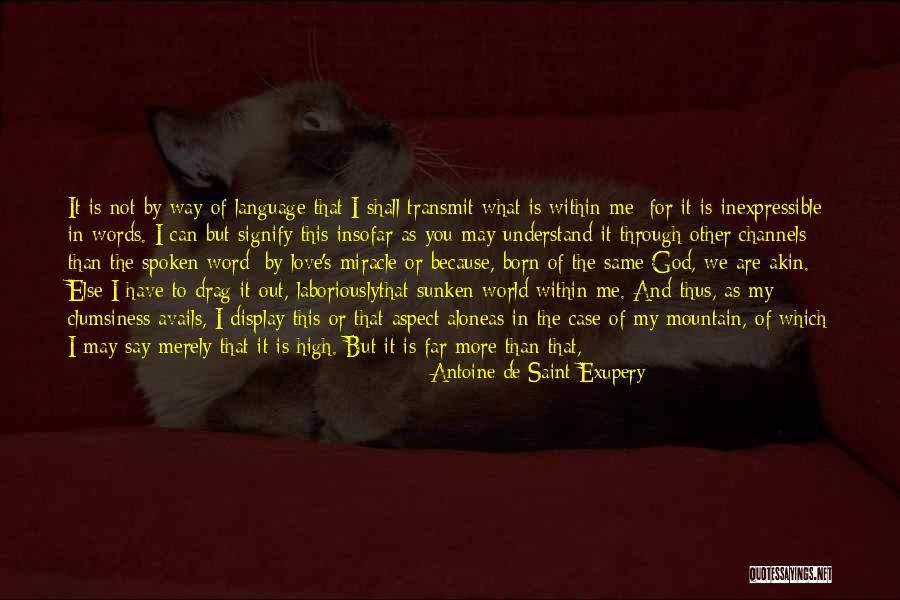 Way To Display Quotes By Antoine De Saint-Exupery Way To Display Quotes By Antoine De Saint-Exupery