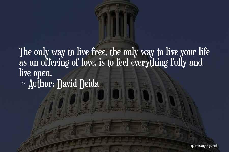 Way To Live Your Life Quotes By David Deida
