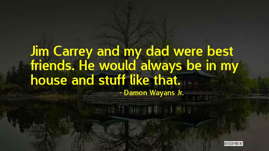 Wayans Quotes By Damon Wayans Jr.