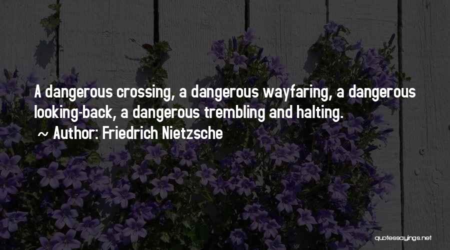 Wayfaring Quotes By Friedrich Nietzsche