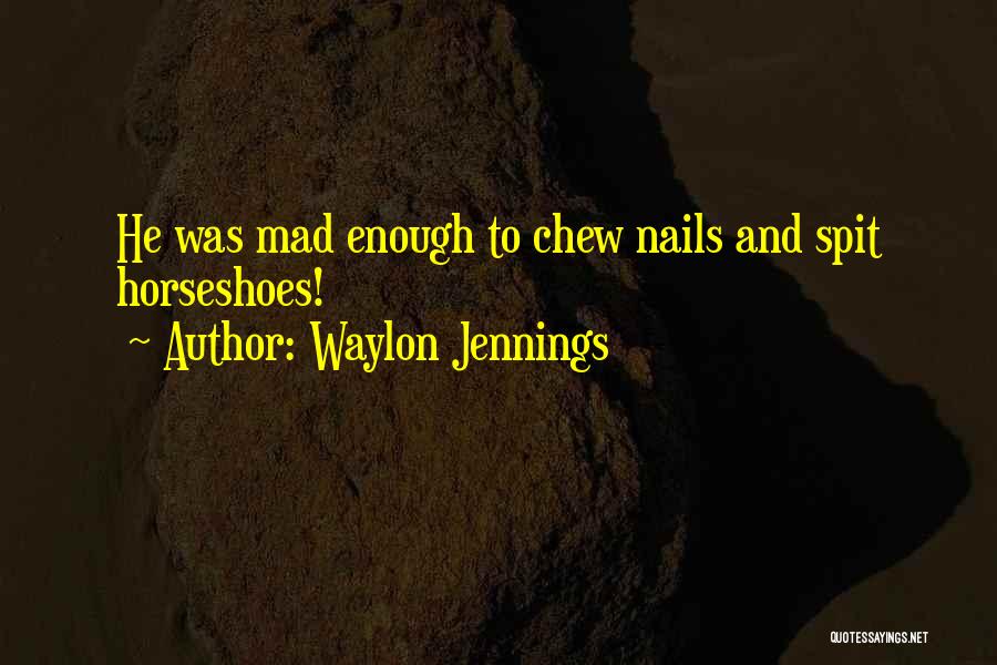 Waylon Jennings Quotes 773791