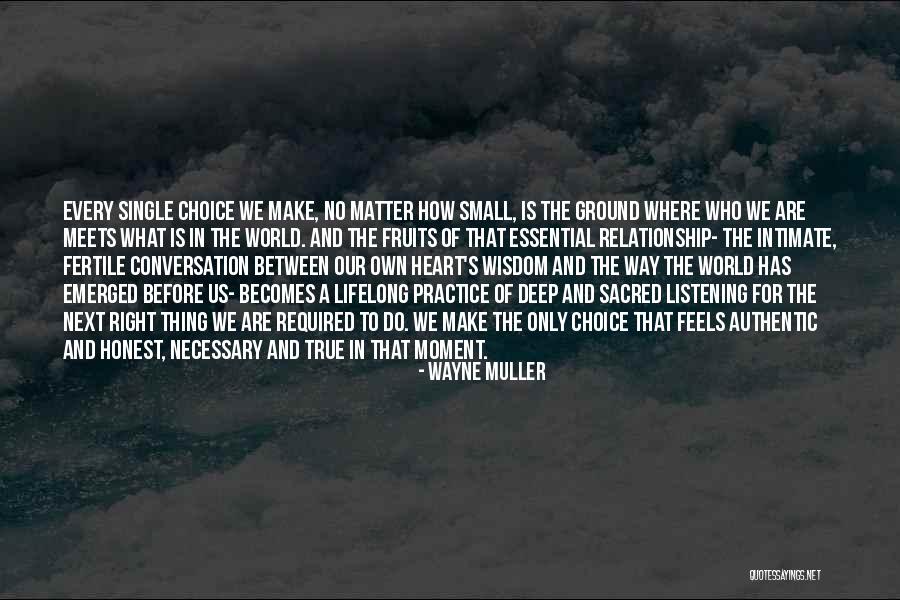 Wayne Muller Quotes 1154615