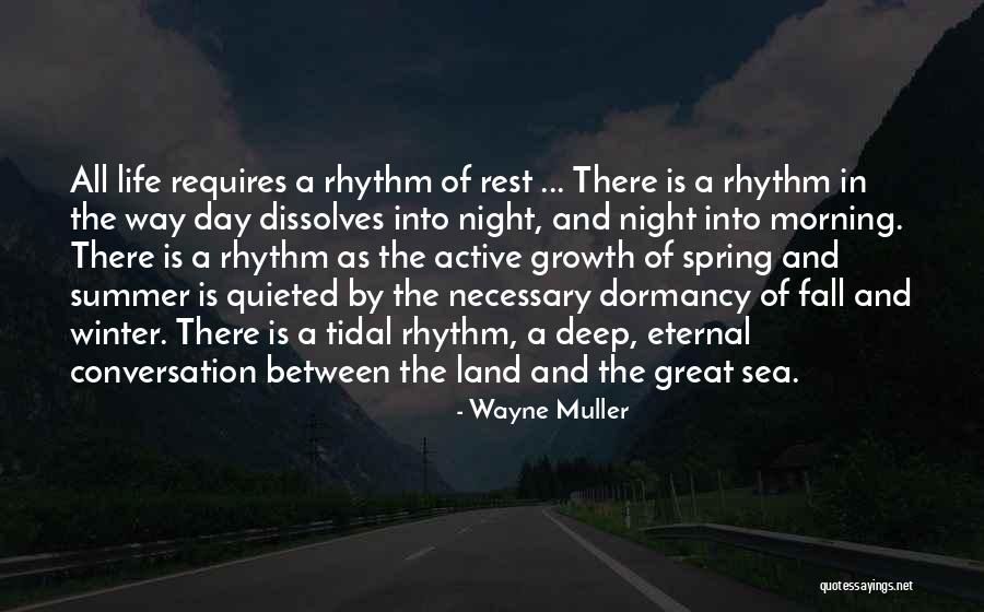 Wayne Muller Quotes 1366731 Wayne Muller Quotes 1366731