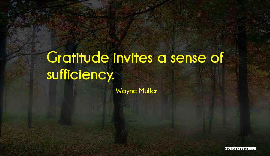 Wayne Muller Quotes 1502402 Wayne Muller Quotes 1502402