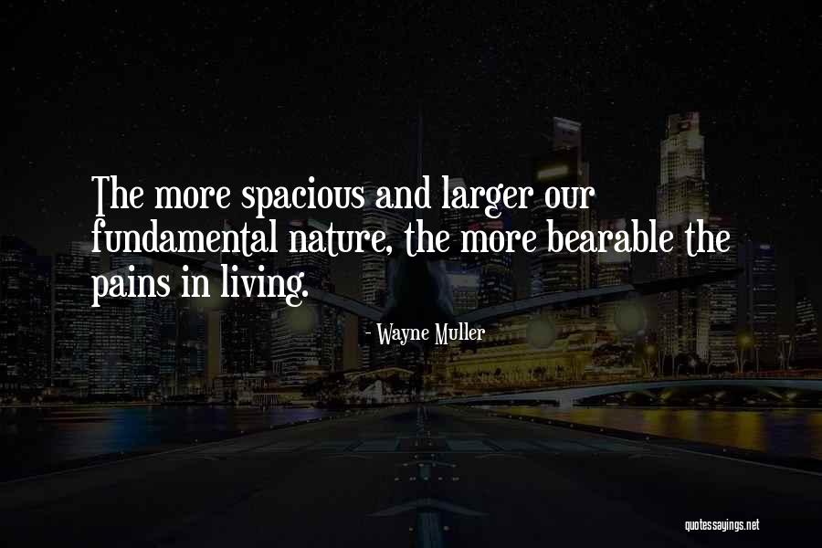 Wayne Muller Quotes 1533855 Wayne Muller Quotes 1533855