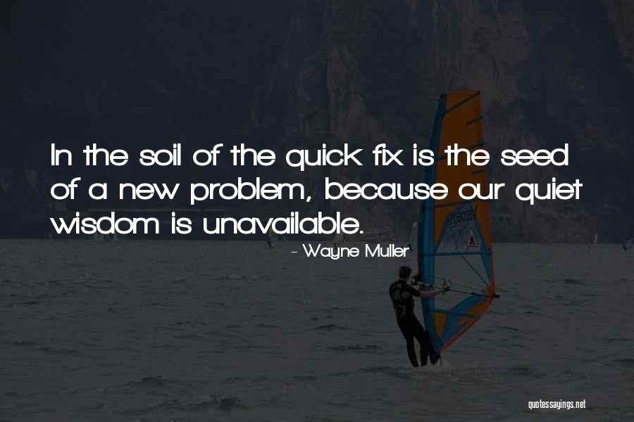 Wayne Muller Quotes 1861393 Wayne Muller Quotes 1861393