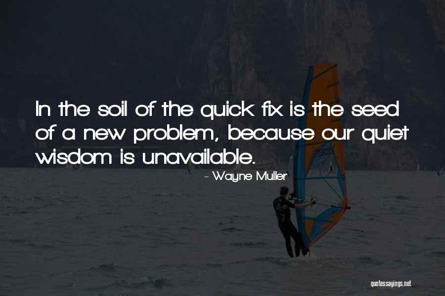 Wayne Muller Quotes 1861393