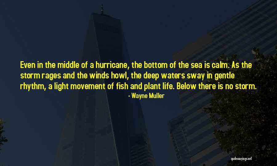 Wayne Muller Quotes 203068