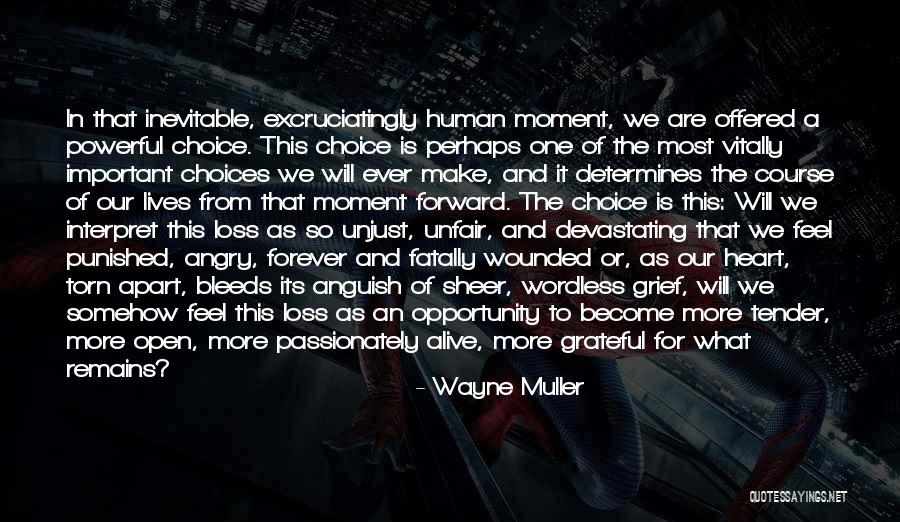 Wayne Muller Quotes 2076717