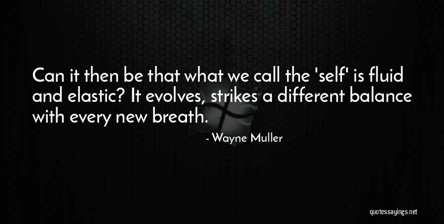 Wayne Muller Quotes 2129345